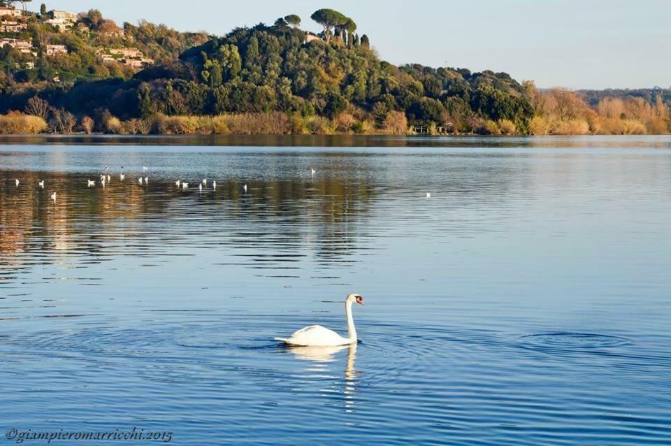 Pepè Apartment -Lago di Bracciano Trevignano Romano Extérieur photo